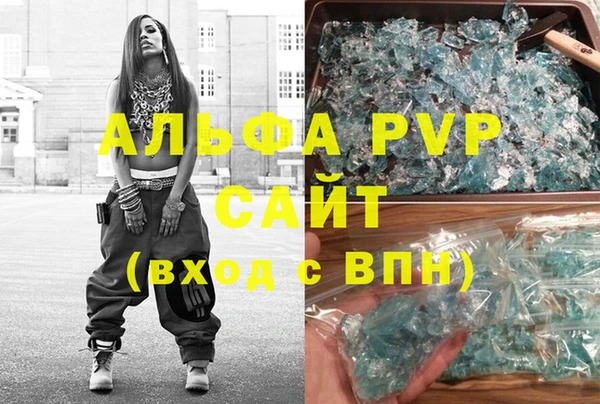 прущие грибы Кодинск