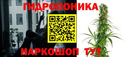 МДПВ Канаш