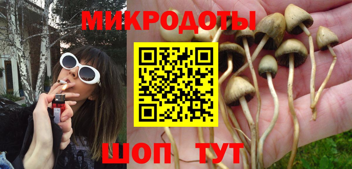 Галлюциногенные грибы Psilocybe  Вход с VPN  Амурск 